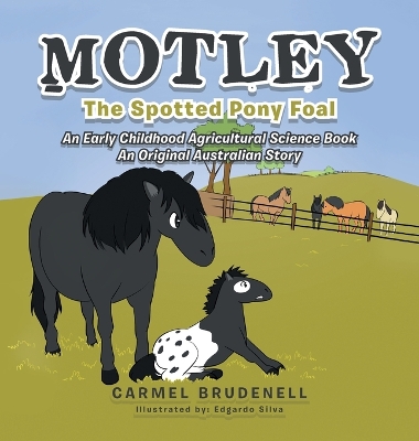Motley: The Spotted Pony Foal by Carmel Brudenell