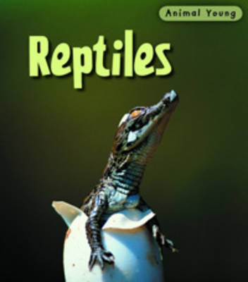 Reptiles by Rod Theodorou
