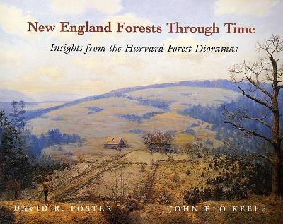 New England Forests Through Time book