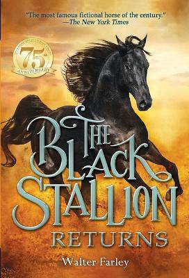 Black Stallion Returns book