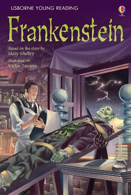 Frankenstein book