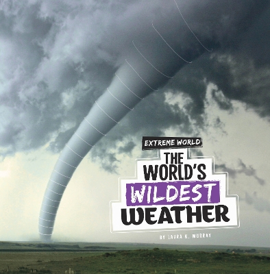 The World's Wildest Weather book