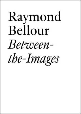 Raymond Bellour book
