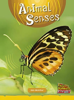 Animal Senses book