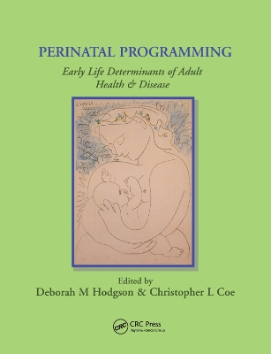 Perinatal Programming by Deborah Hodgson