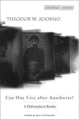 Can One Live after Auschwitz? book