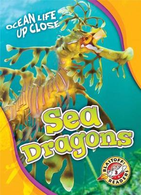 Sea Dragons book