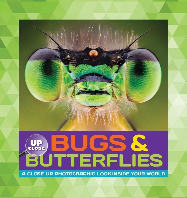 Bugs & Butterflies by Heidi Fiedler