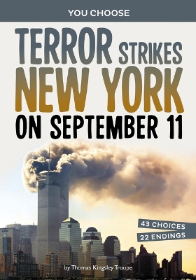 Terror Strikes New York on September 11 book