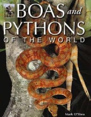 Boas and Pythons of the World book