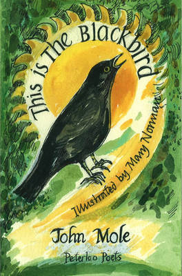 This is the Blackbird book