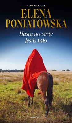 Hasta No Verte Jesús Mío book