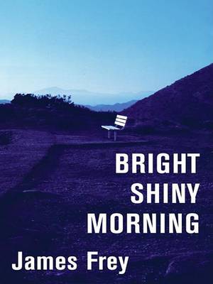 Bright Shiny Morning by James Frey