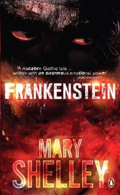 Frankenstein book