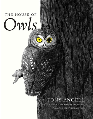 House of Owls book