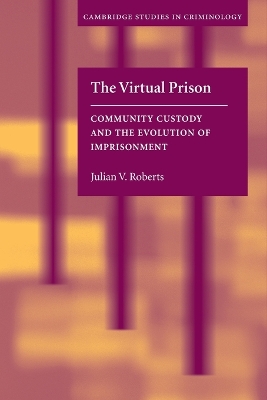Virtual Prison book