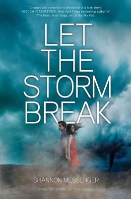 Let the Storm Break book