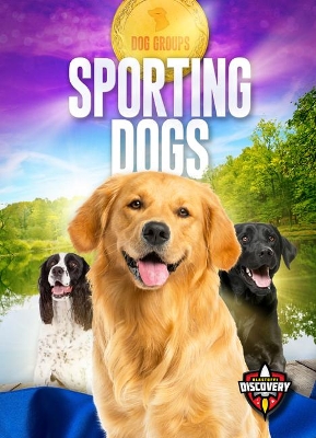 Sporting Dogs book