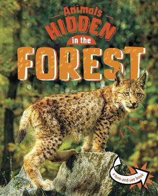 Animals Hidden in the Forest book
