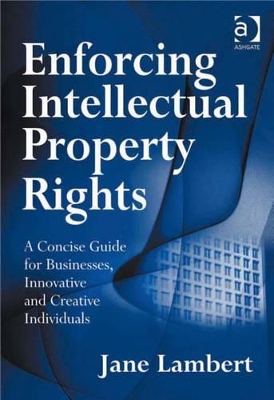 Enforcing Intellectual Property Rights: A Concise Guide for Businesses, Innovative and Creative Individuals by Jane Lambert