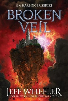 Broken Veil book