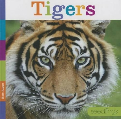Tigers by Kate Riggs