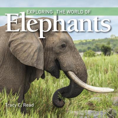 Exploring the World of Elephants book