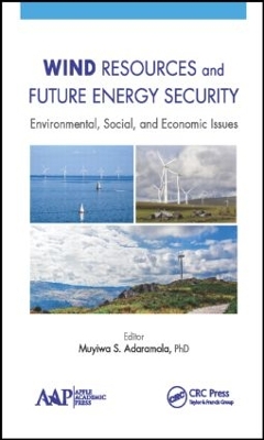 Wind Resources and Future Energy Security by Muyiwa Adaramola