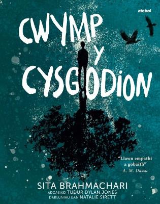 Darllen yn Well: Cwymp y Cysgodion book