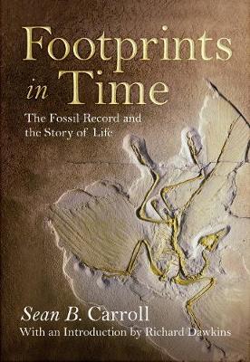 Footprints in Time book