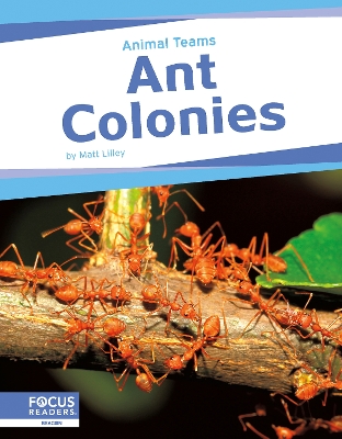 Ant Colonies book