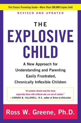 Explosive Child book