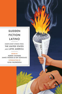 Sudden Fiction Latino book