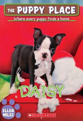 Daisy (the Puppy Place #38) book