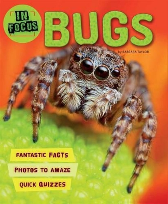 In Focus: Bugs by Kingfisher