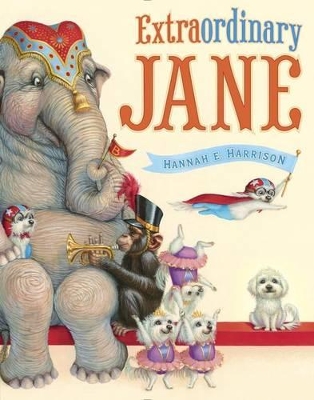 Extraordinary Jane book