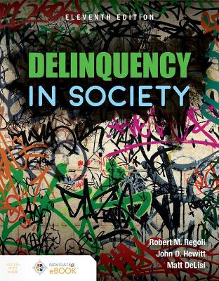 Delinquency In Society book