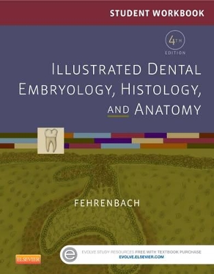 Student Workbook for Illustrated Dental Embryology, Histology and Anatomy by Margaret J. Fehrenbach