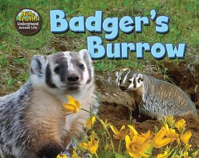 Badger's Burrow book