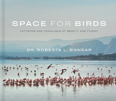 Space for Birds: Patterns and Parallels of Beauty and Flight book