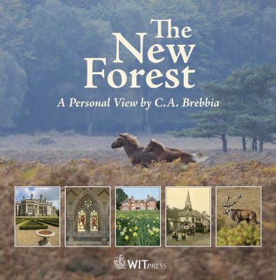 The New Forest by C. A. Brebbia