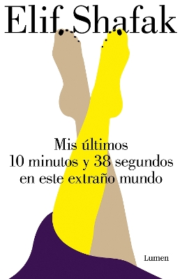 Mis últimos 10 minutos y 38 segundos en este extraño mundo / 10 Minutes 38 Seconds in this Strange World book