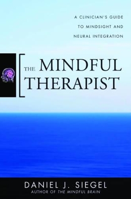 The Mindful Therapist by Daniel J. Siegel