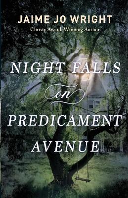 Night Falls on Predicament Avenue book