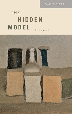 Hidden Model book