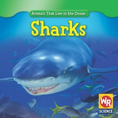 Sharks book