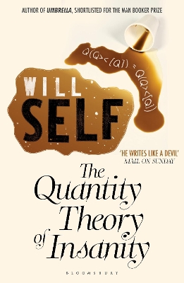 Quantity Theory of Insanity book