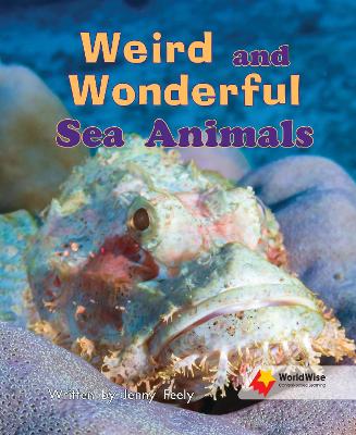 Weird and Wonderful Sea Animals book