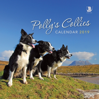 Polly's Collies Calendar 2019 book