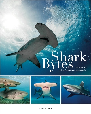 Shark Bytes book